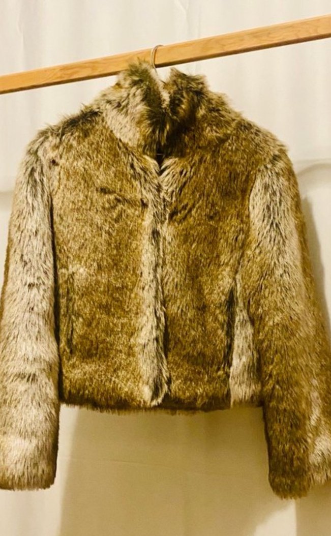 ZARA  Zebra Desenli Kürk Detaylı Kısa Ceket - Görsel 5