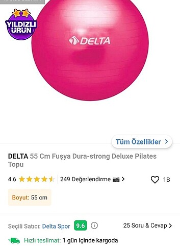  Delta 55 cm pilates topu