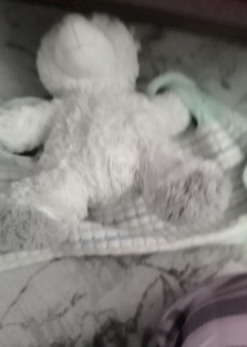 Beyaz Peluş Ayıcık Oyuncak - Görsel 5