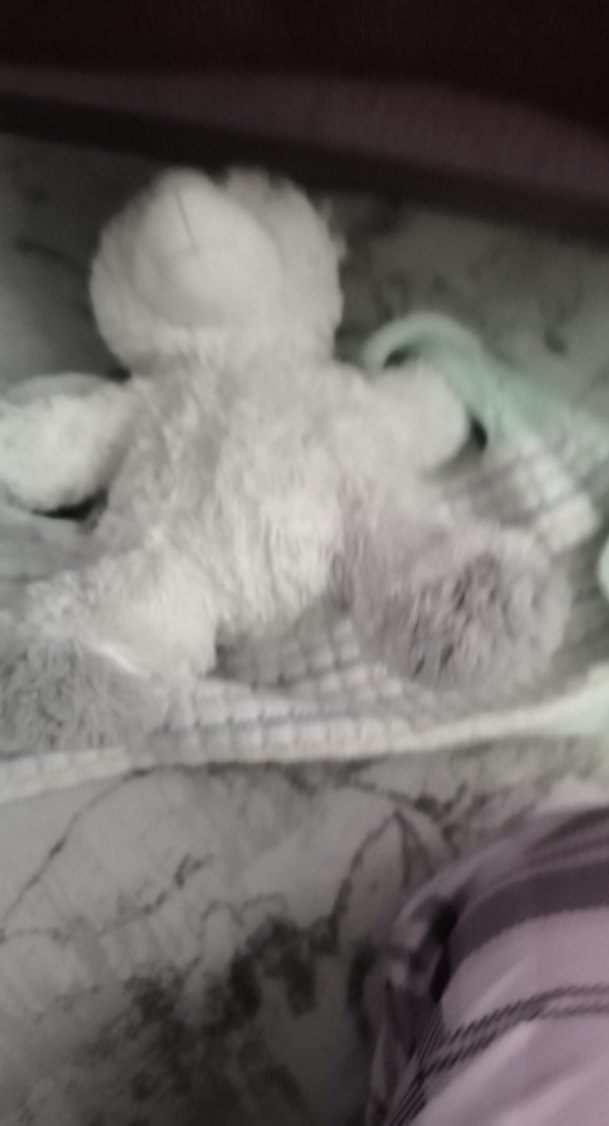 Beyaz Peluş Ayıcık Oyuncak - Görsel 5