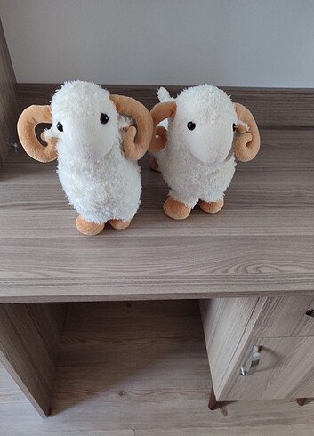  Beden Renk Peluş kuzular