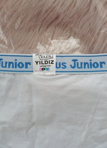 Diğer JUNİOR BOXER