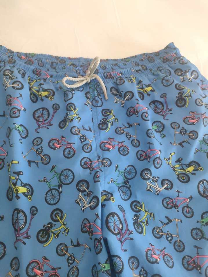 Mavi Bisiklet Desenli Erkek Mini Şort - Görsel 2