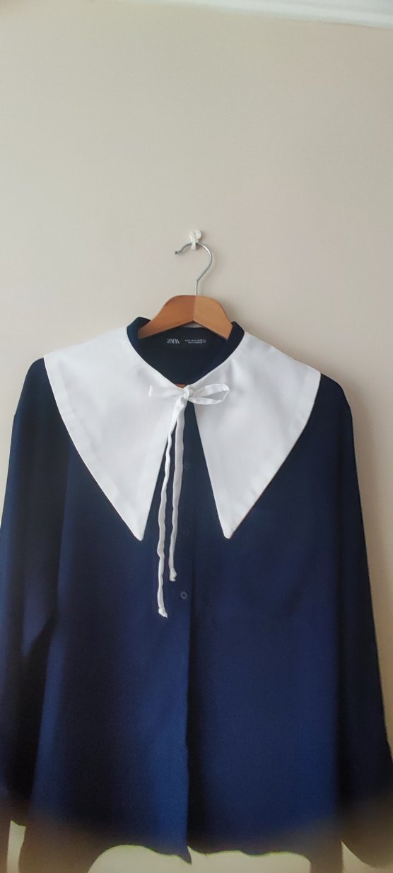 Beyaz yakalık - Görsel 4