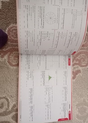 Beden Renk Mert hoca ayt mat