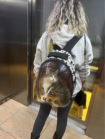  Kedi taşıma çantası