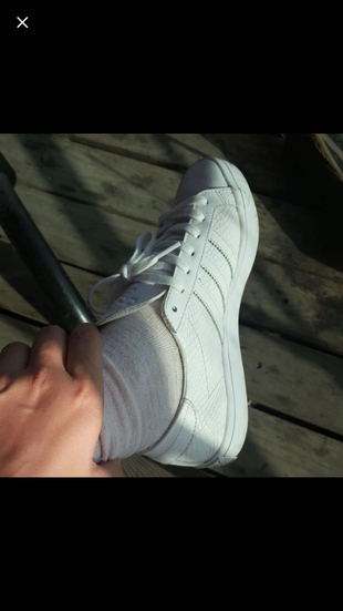 Adidas süperstar