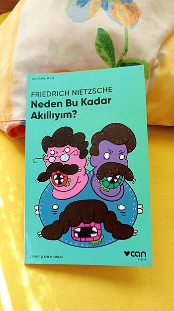 Nietzsche neden bu kadar akıllıyım