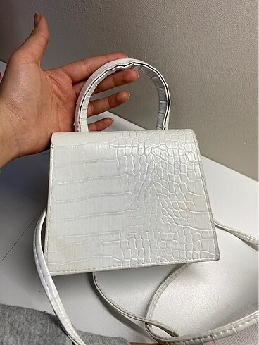 Jacquemus jacquemus