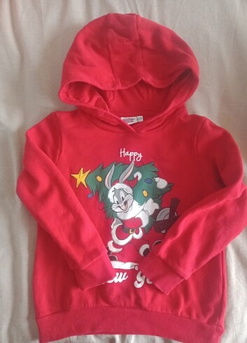 Diğer Kapşonlu sweatshirt 