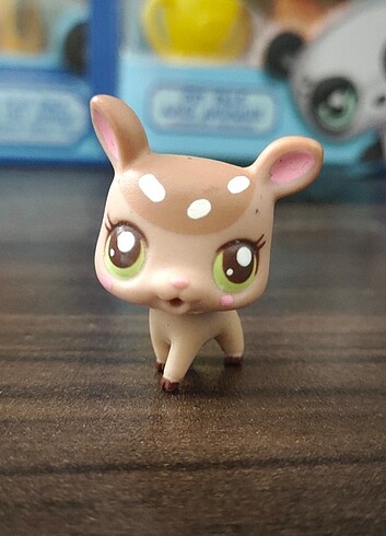 Hasbro 