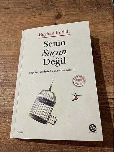 Beyhan Budak kitap