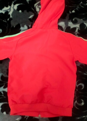 Adidas Orjinal 