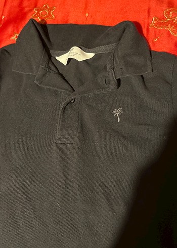 Erkek Siyah Kısa Kollu Polo Tişört - Görsel 2