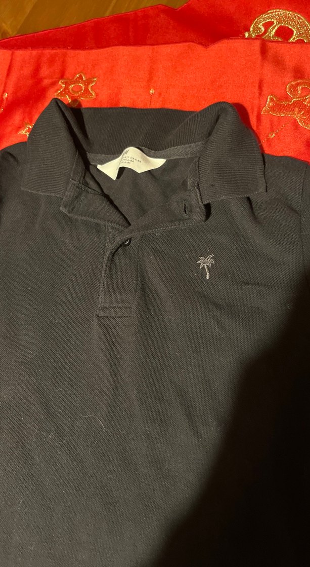 Erkek Siyah Kısa Kollu Polo Tişört - Görsel 2