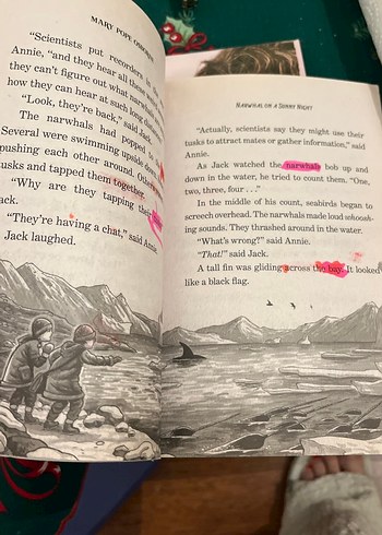 Magic Tree House: Narwhal on a Sunny Night - Görsel 4