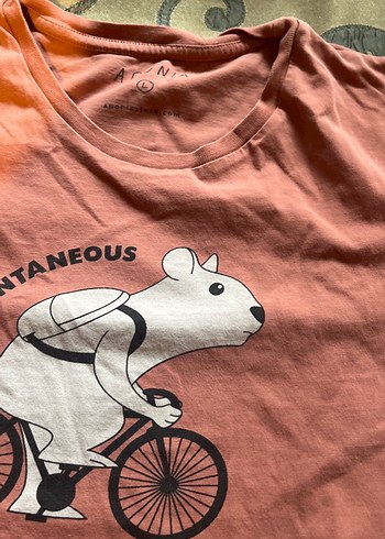 Pembe  gül kurusu Baskılı Kısa Kollu 2 tane tişört, L ve S - Görsel 3