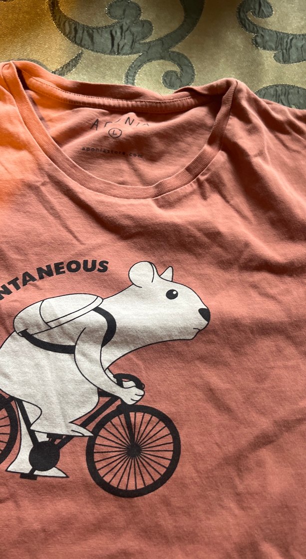 Pembe  gül kurusu Baskılı Kısa Kollu 2 tane tişört, L ve S - Görsel 3