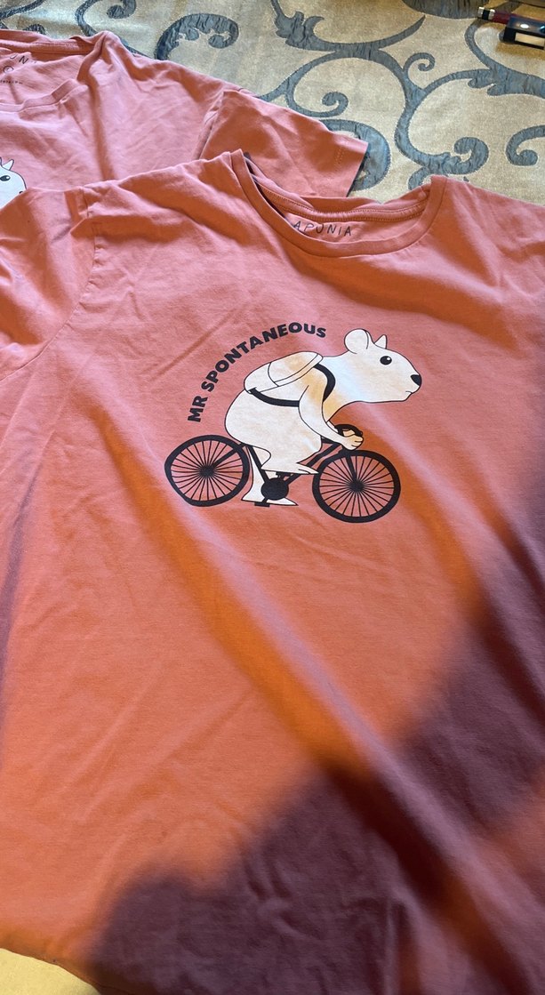 Pembe  gül kurusu Baskılı Kısa Kollu 2 tane tişört, L ve S - Görsel 2