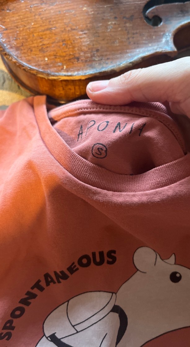 Pembe  gül kurusu Baskılı Kısa Kollu 2 tane tişört, L ve S - Görsel 5