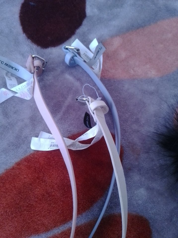 Pastel Renkli Kadın Kemeri ve Kurdele Detayı - Görsel 3