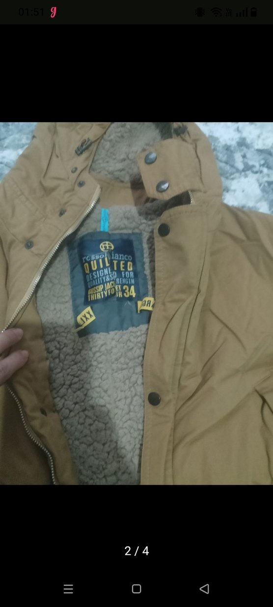 erkek kaban - Görsel 2