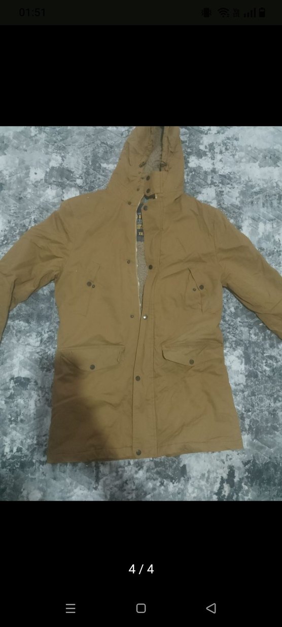 erkek kaban - Görsel 3