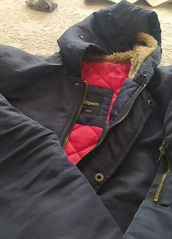 Erkek mont