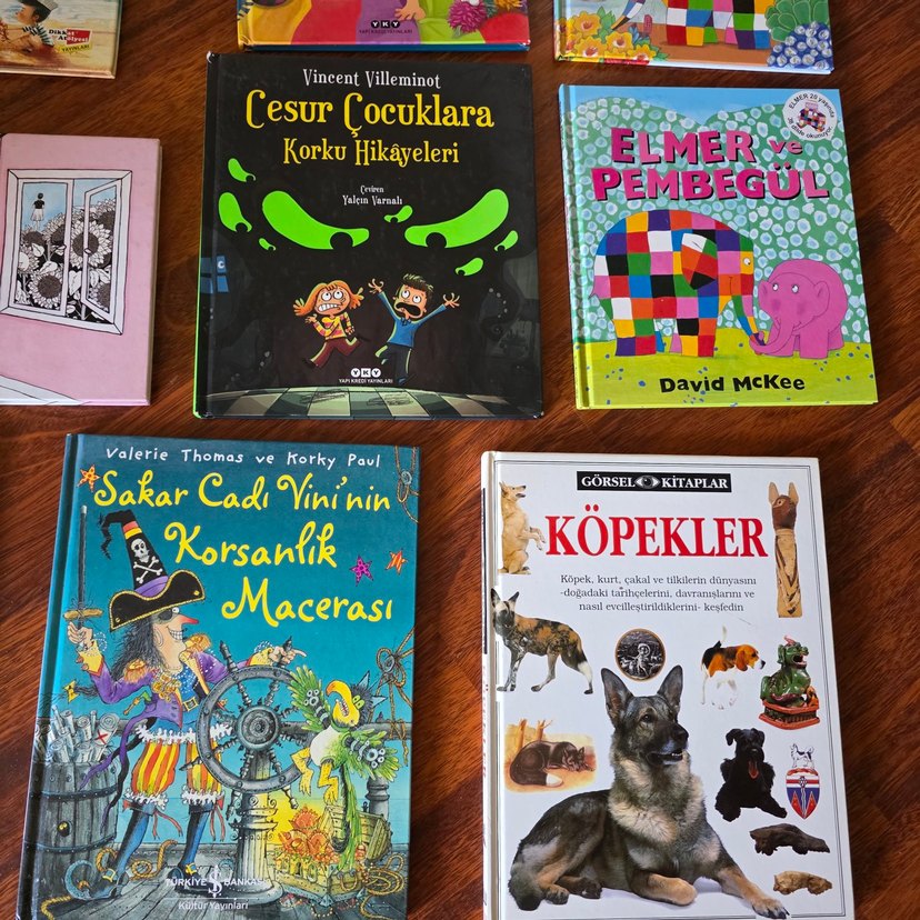 Çocuklar için Macera ve Hikaye Kitapları Seti - Görsel 3