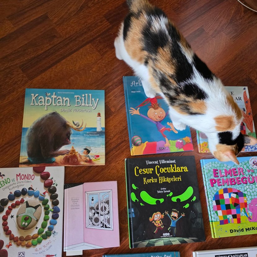 Çocuklar için Macera ve Hikaye Kitapları Seti - Görsel 4