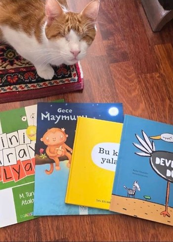 Özel ilan sormadan alım yapmayınız Çocuk kitapları