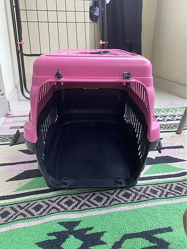 Beden Kedi köpek boxu
