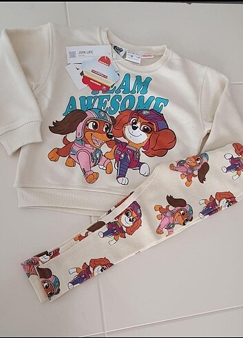 paw patrol takım