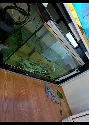 Büyük Mavi Akvaryum - Görsel 2