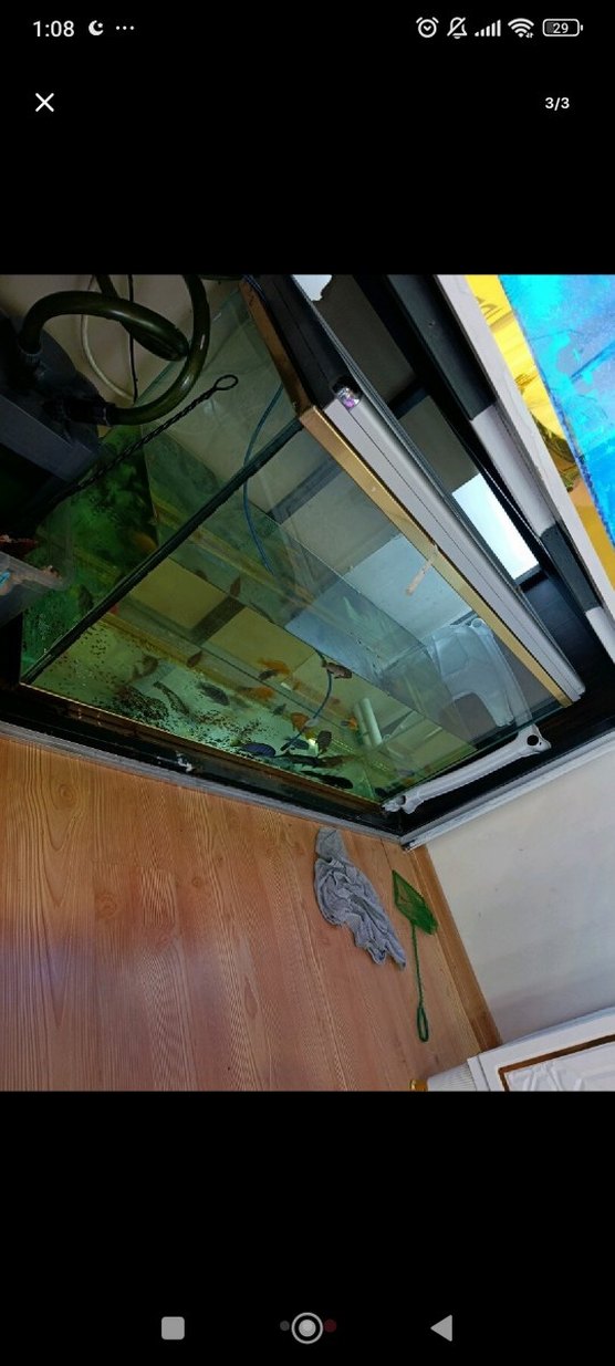 Büyük Mavi Akvaryum - Görsel 2