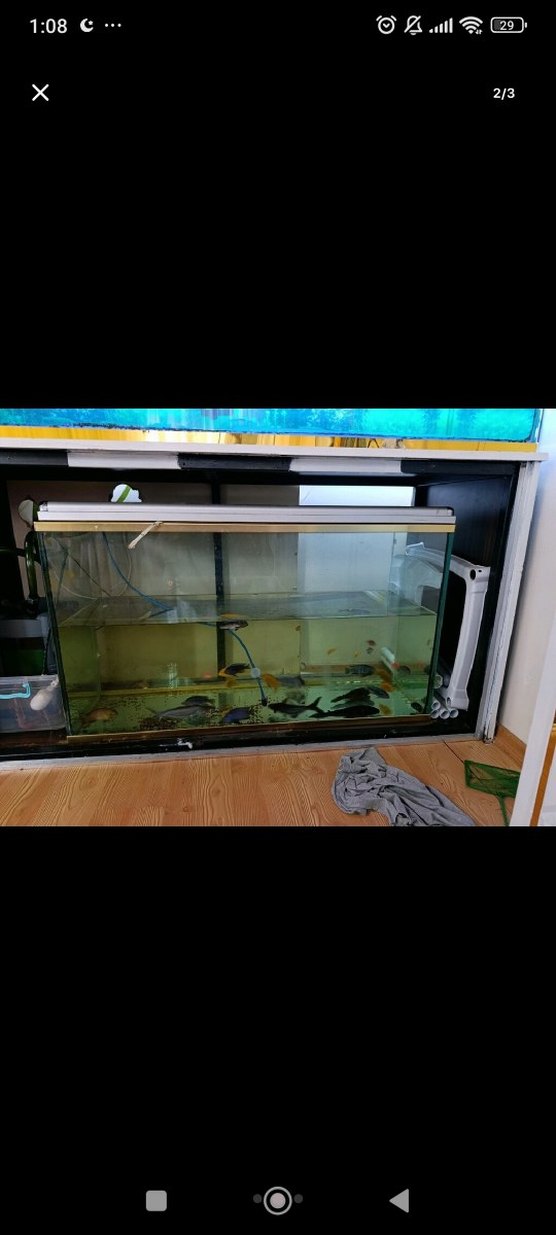 Büyük Mavi Akvaryum - Görsel 3