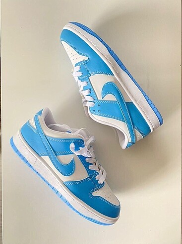 Nike dunk