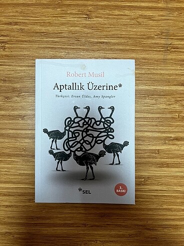 Aptallık Üzerine