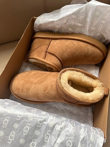 Ugg chesnut