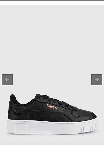 Puma carina 