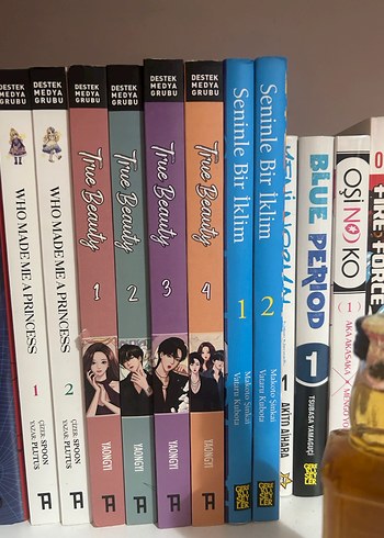 True beauty webtoon - Görsel 2