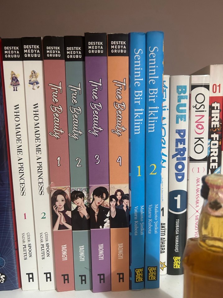 True beauty webtoon - Görsel 2