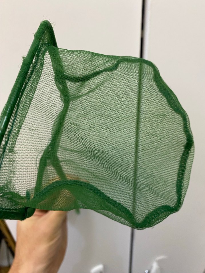 Yeşil Kedi Balıkçı Filesi - Görsel 2