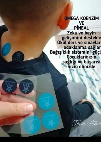 Beden TTS International Pineal Patch
