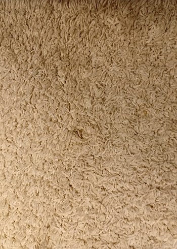 Desenli yünlü halı tüylü - Görsel 4