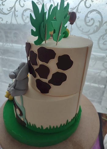 Renkli Safari Maket Pasta - Görsel 5