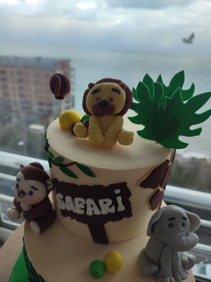 Renkli Safari Maket Pasta - Görsel 3