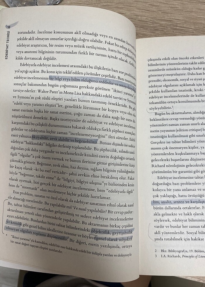 Edebiyat Teorisi - Görsel 2