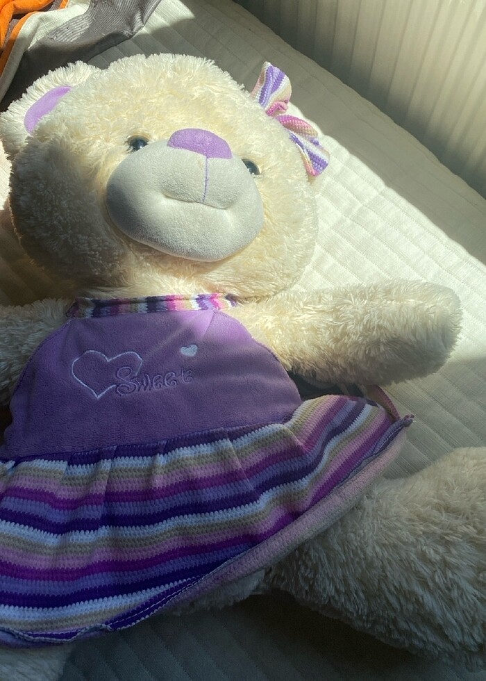 oyuncak ayi - Görsel 2