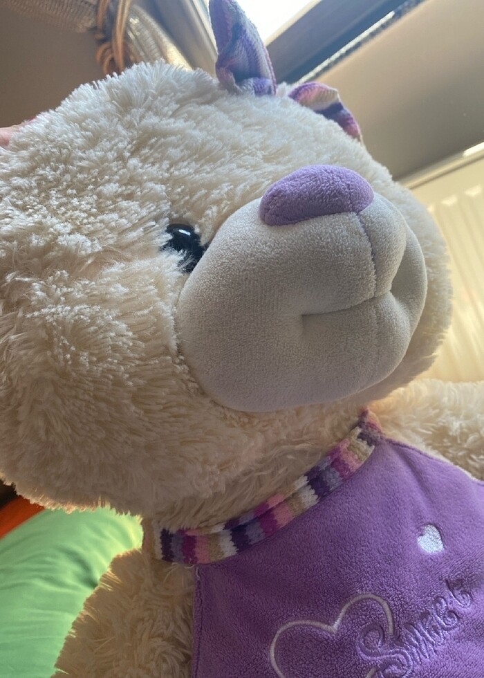 oyuncak ayi - Görsel 4